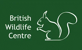 british-wildlife-centre